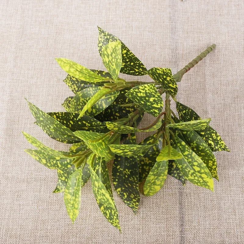 Plastic Artificial Color-chang - Dracaena Marginata 리뷰 및 가격