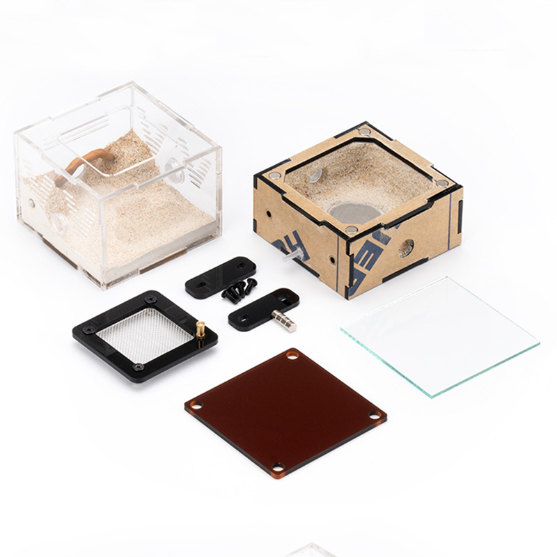 Unlimited Expansion Ant Farm H - Begonia Rex 리뷰 및 가격
